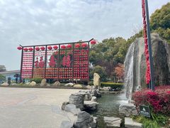 -合肥滨湖国家森林公园