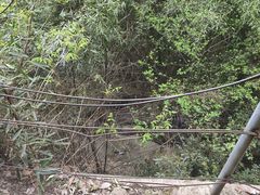 -会稽山峡洞漂流-上青古道