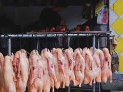-杨震卤菜旗舰店