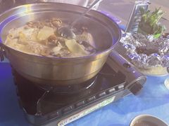 -千岛蚝高压锅生蚝·人参火锅(白云万达店)