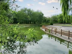 -燕郊植物园