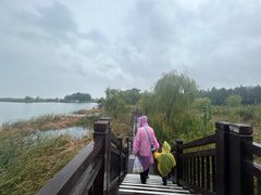 -苏州太湖湖滨国家湿地公园