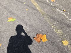 -四里河滨水生态公园