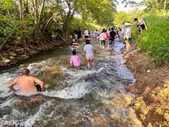 -素山寺森林公园