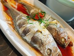 -双合园·海鲜水饺青岛菜(大尧三路店)