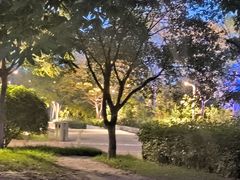 -灞河西岸滨河公园