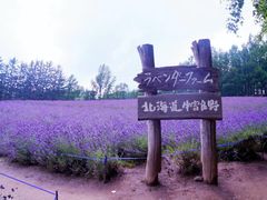 -富田农场