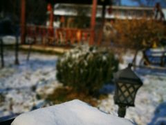-香木香羊西夏特色烤全羊(沈阳世博园店)