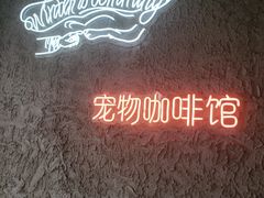 -赢吧Bliss音乐酒吧