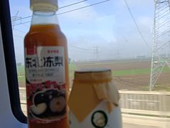 -汤旺河林海奇石景区