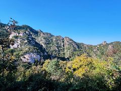-大岭沟猕猴桃谷风景区