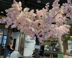 -简影造型·自选烫染接发salon
