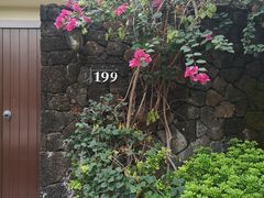 -三亚亚龙湾五号度假别墅酒店