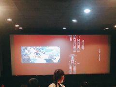 -武商摩尔影城(国广IMAX激光店)