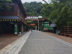 -野象谷景区