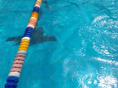 -远航游泳竞技馆(卫星广场店)