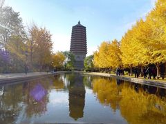 -玲珑塔公园