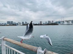 -台场海滨公园船码头