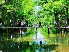 -西溪南古村落景区
