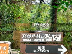 -芦仙山景区-飞越丛林探险乐园