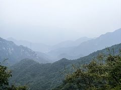 -大岭沟猕猴桃谷风景区