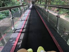 -富春桃源风景区