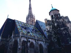 -斯蒂芬主教座堂(Stephansdom)