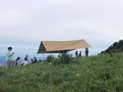 -白草畔自然风景区