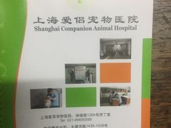 -爱侣宠医·鹦鹉专科·小型哺乳类·异宠专科(灵石路店)