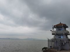 -福田红树林生态公园