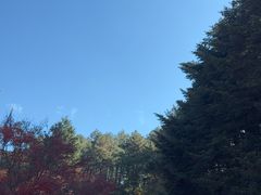 -四明山国家森林公园