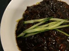 -桃园中华料理炸酱面(燕儿岛路店)