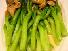-新侨小馆(东直门北小街店)
