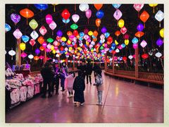 -郑州方特梦幻王国