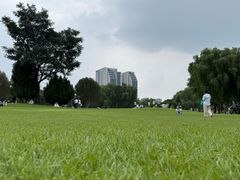 -裕华世纪公园