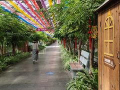 -南宫五洲植物乐园