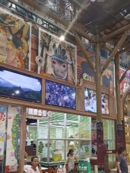 -卡通尼·Safari非洲探索乐园·生日会(金桥国际商业广场店)