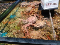 -盒马鲜生(皇庭广场店)