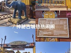 -呀路古热带植物园