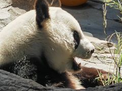-宁波野生动物园
