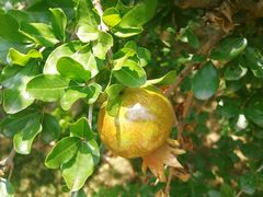 景点-刘公岛景区