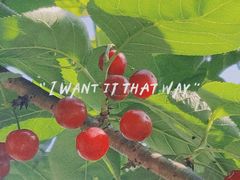 -樱桃山旅游景区