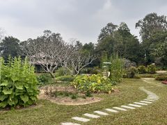 -广西壮族自治区药用植物园