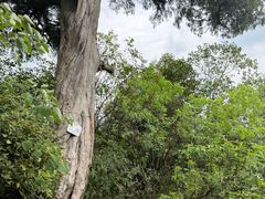 -金堂县云顶石城风景区