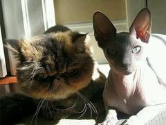 -妈妈的味道(工人体育场东路店)