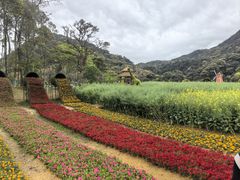-广州市石门国家森林公园