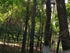 -黑龙江省森林植物园