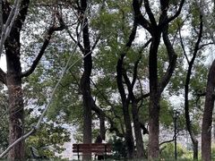 -徐家汇源景区-衡山公园