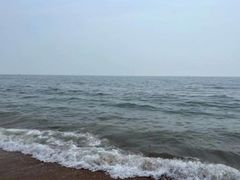 -渡海小渔村.老辈日照菜