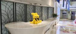 点击看大图 -石家庄苏亚美联臣医疗美容医院